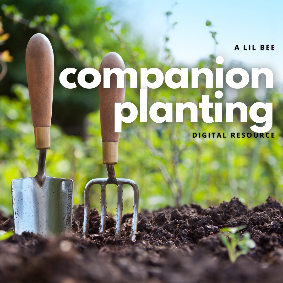 Companion Planting