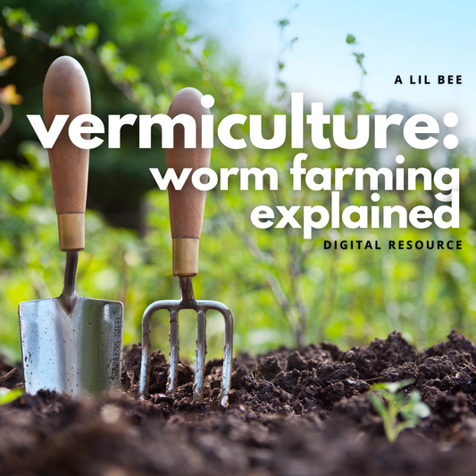 Vermiculture: Worm Farming Explained