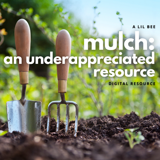 Mulch: An Underappreciated Resource