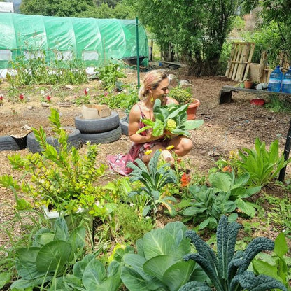 Community Garden Donations