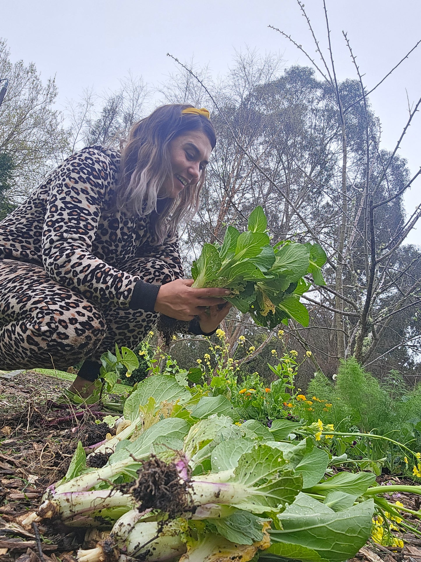 Community Garden Donations